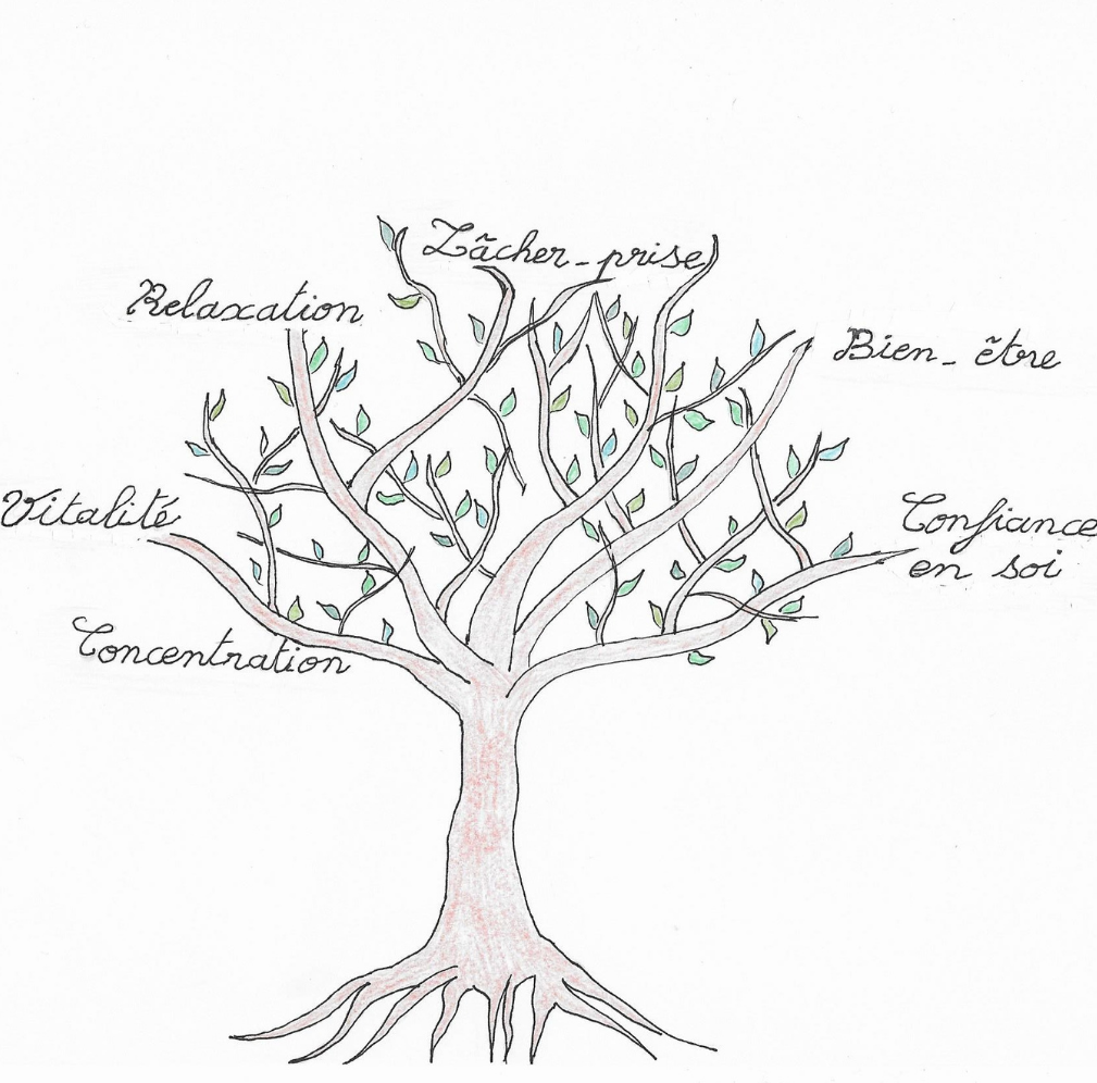 arbre sophrologie